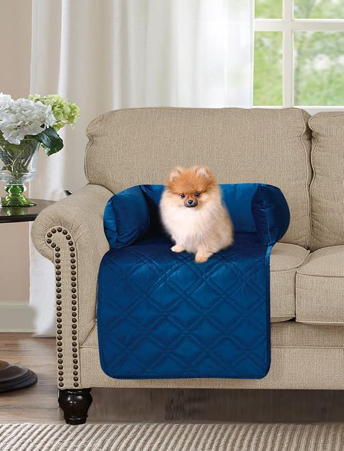 Brilliant Sunshine Premium Blue Silky Velvet Pet Sofa Bed