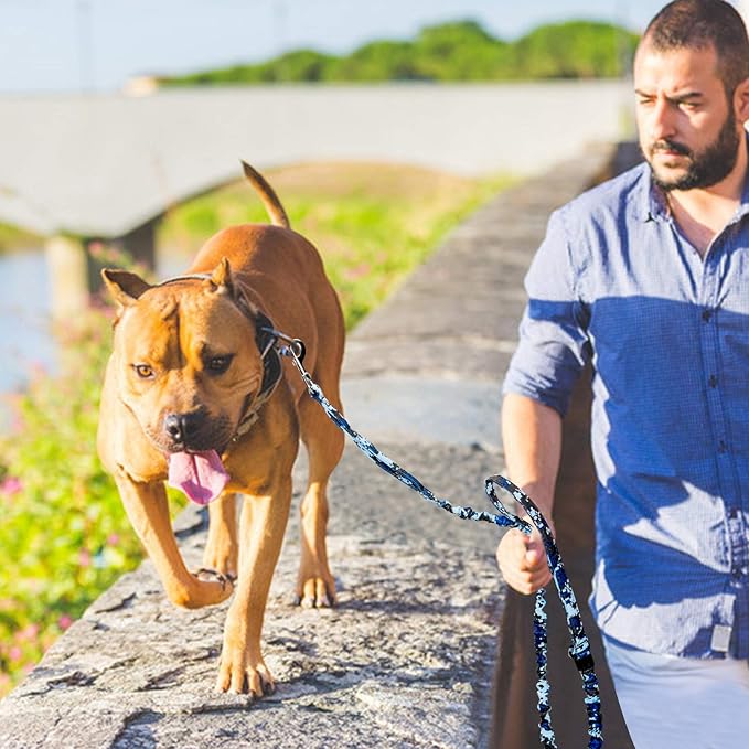 AUROTH Dog Leash Large Dogs 6FT, 2