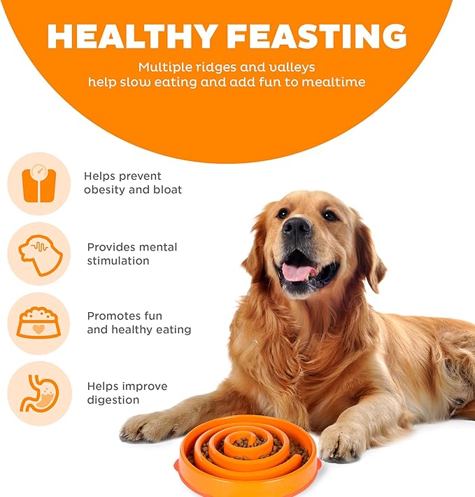 Outward Hound Fun Feeder Slo Bowl, Slow Feeder Dog Bowl, Large/Regular, Orange