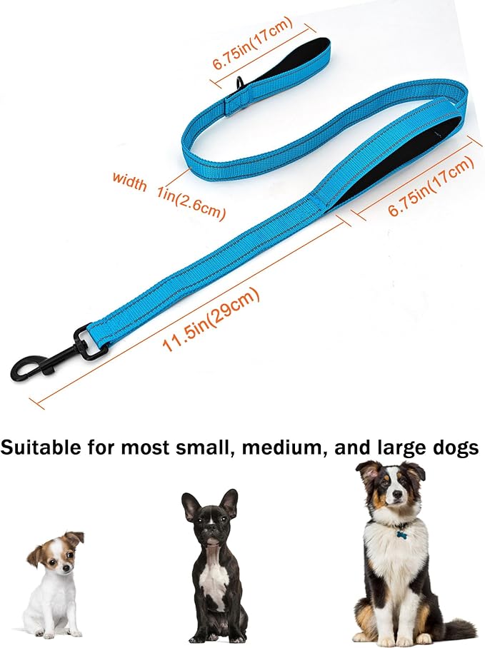 Solmoony 4FT Blue Strong Dog Leash with 2 Padded Handles 4FT)