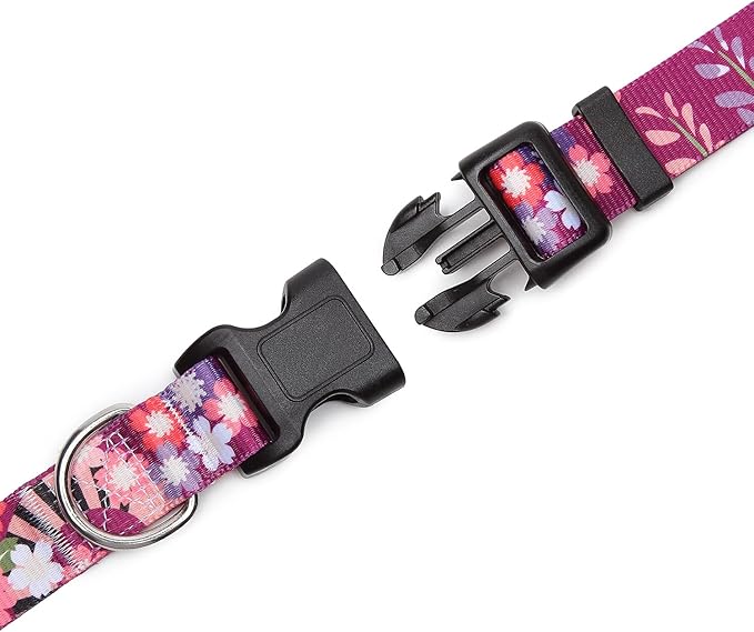 Adjustable Dog Collar with Patterns