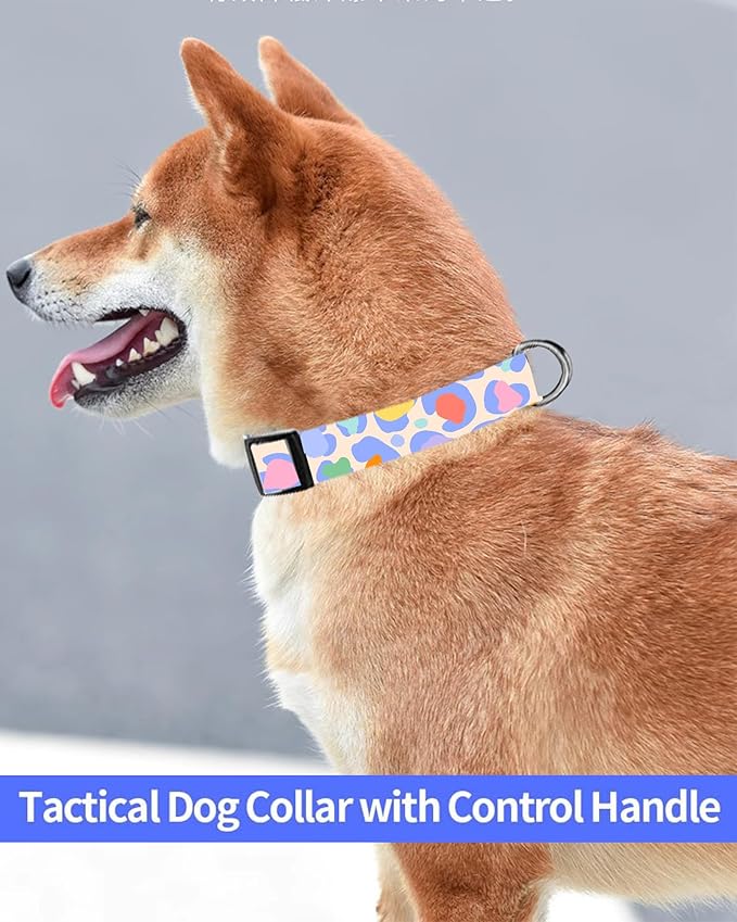 Dog Collar