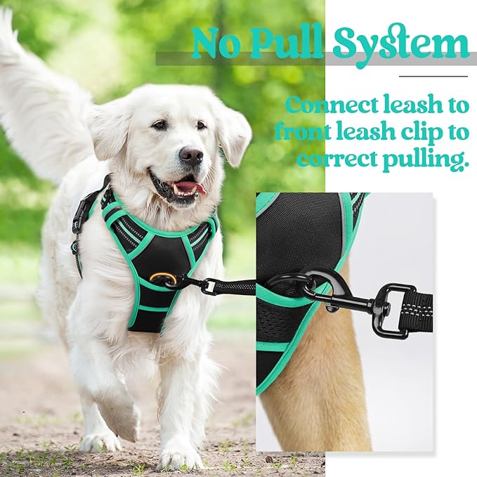 rabbitgoo Dog Harness, No-Pull Pet Harness with 2 Leash Clips, Adjustable Soft Padded Dog Vest, Reflective No-Choke Pet Oxford Vest with Easy Control Handle for Large Dogs, Black & Turquoise, S