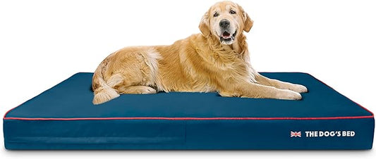 The Dog’s Bed Orthopedic Memory Foam Dog Bed 64x44, Pain