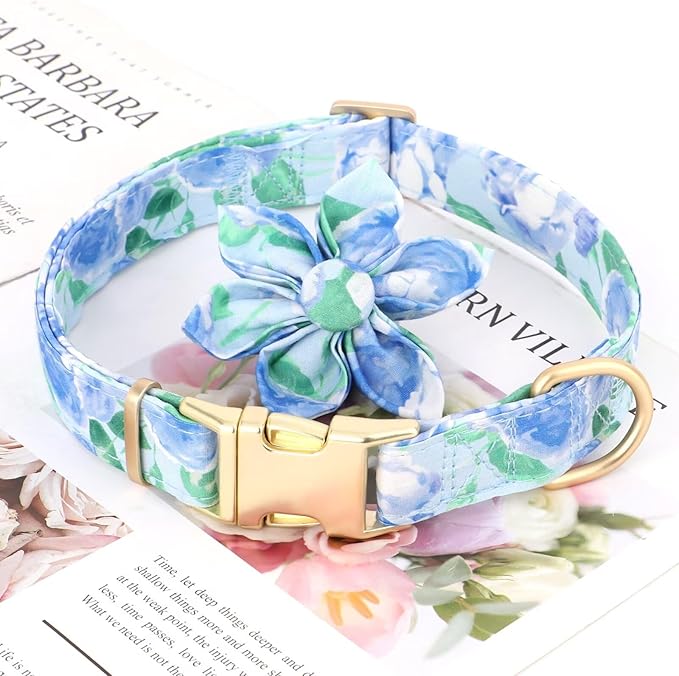 Beirui Cute Girl Dog Collars for Female Dogs