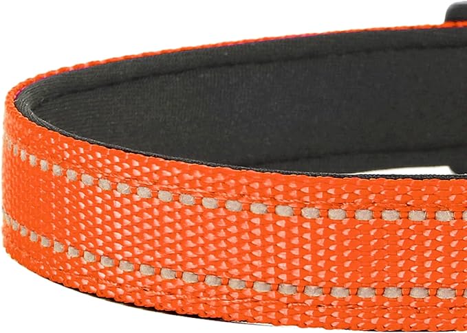 Reflective Dog Collar