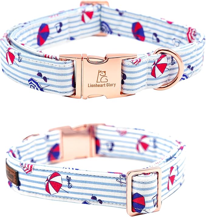 Lionheart glory Dog Collar
