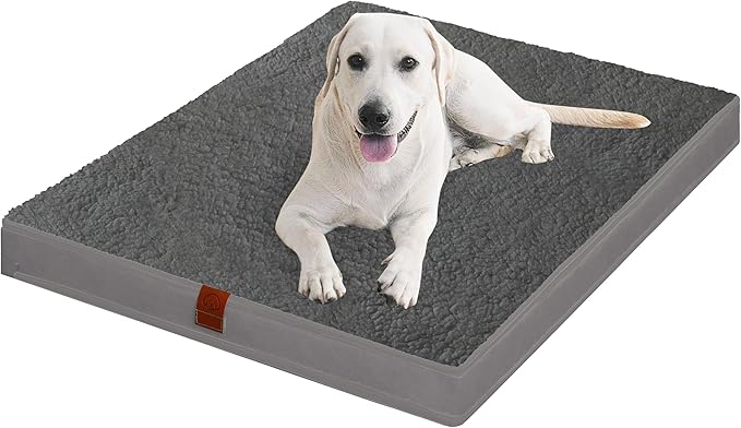 Easy-Going Dog Bed for Medium Dogs (30x20x3 in,