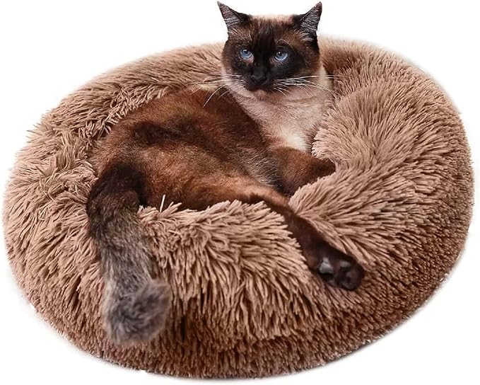 Geizire 24 inch Cat Bed Dog Bed for Cats