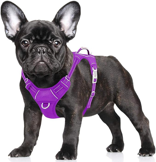 BARKBAY No Pull Dog Harness Large Step in Reflective Dog Harness with Front Clip and Easy Control Handle for Walking Training Running with ID tag Pocket(Purple