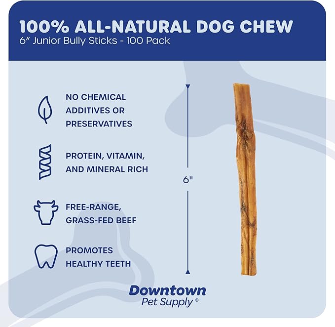 Downtown Pet Supply Bully Sticks for Dogs, Junior Size (6", 100-pack) Rawhide Free Dog Chews Long Lasting Non-Splintering Pizzle Sticks - Low Odor Bully Sticks for Small Dogs