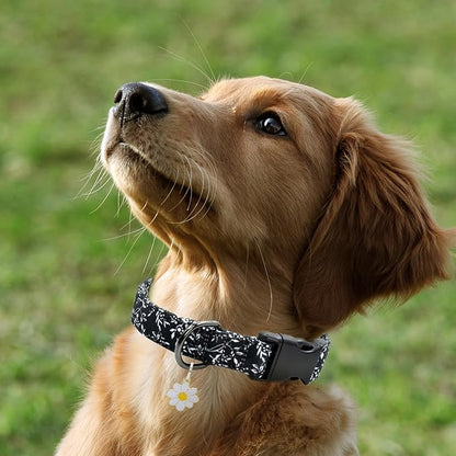 Flower Patterns Dog Collar with Accessories