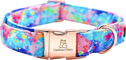 Lionheart glory Dog Collar Colorful Dog Collar Premium