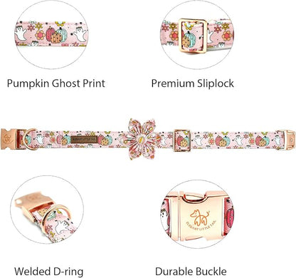 Elegant little tail Halloween Dog Collar