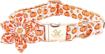 Elegant little tail Halloween Dog Collar