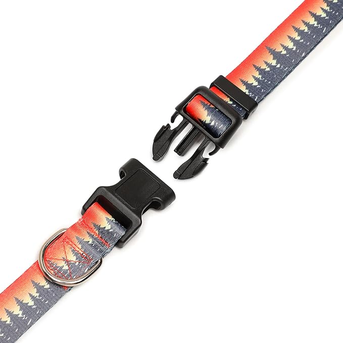 Adjustable Dog Collar with Patterns