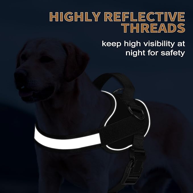 Haapaw Essential Dog Harness, No Pull Pet Vest with 3 Leash Clips, No Choke, Reflective, Adjustable and Padded, for Easy Walking and Training for Large Dogs(XL, Black)