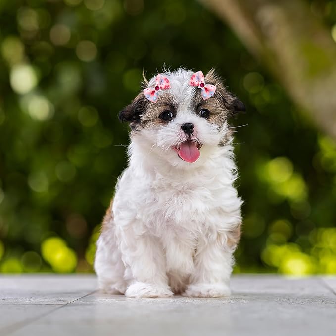 60pcs Dog Hair Bows 30 Beautiful