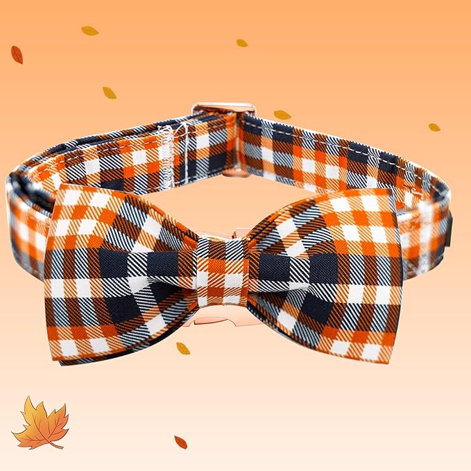 Elegant little tail Fall Dog Collar