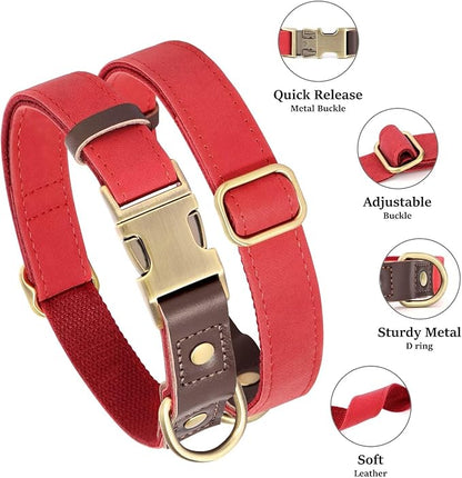 Didog Soft Padded Leather Dog Collars for Medium Dogs