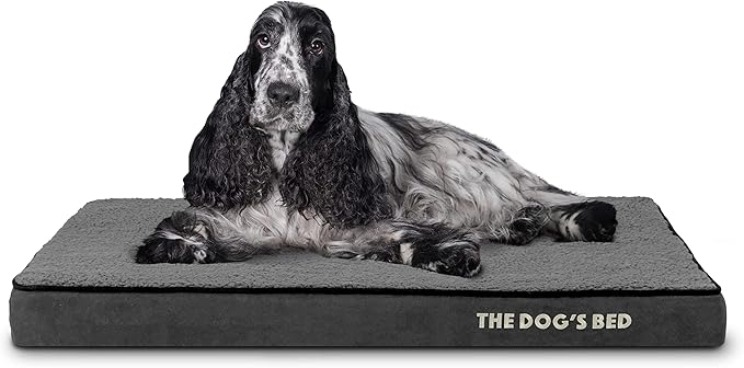 The Dog’s Bed Orthopedic Memory Foam Dog Bed 34x22x3, Pain