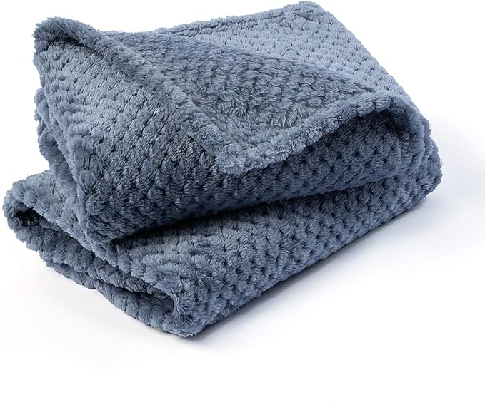 Dog Blanket or Cat Blanket or Pet Blanket (S/24" x 32", Blue)