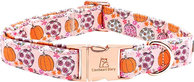 Lionheart glory Dog Collars Fall Halloween Pumpkin Collar