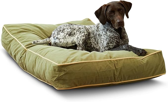South Pine Porch Buddy Rectangle Pillow Style Dog Bed (42" x 30")