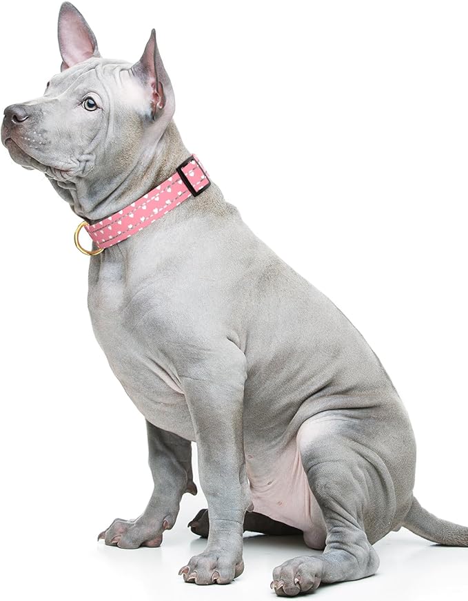 Reflective Dog Collar