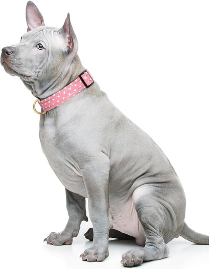 Reflective Dog Collar