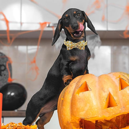 Lionheart glory Halloween Dog Collars Fall Dog Collar Skull Bowtie Dog Collar Girl Boy Pet Collar for Small Dogs Duty Adjustable Dog Collar with Bow Puppy