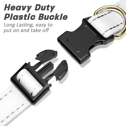 Reflective Dog Collar