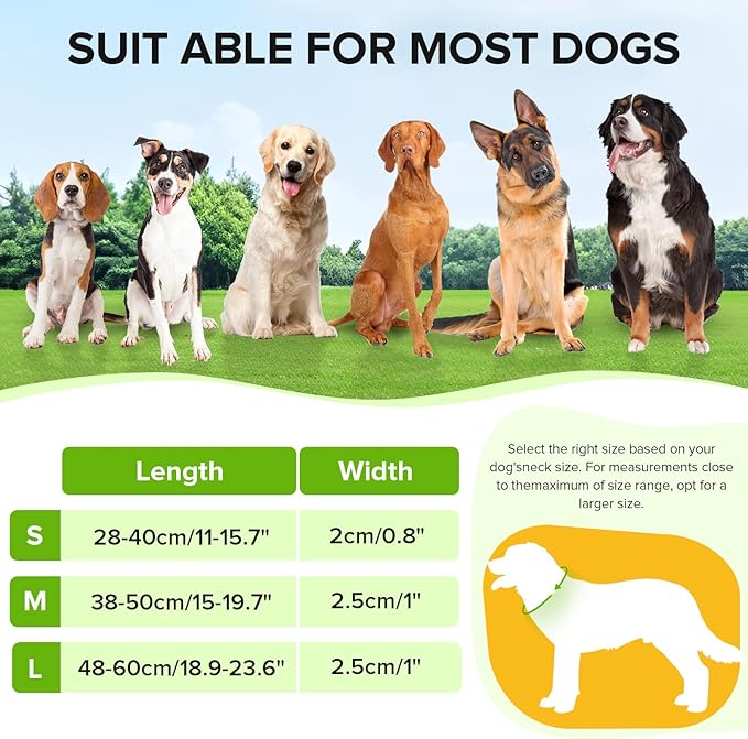 Led Dog Collar for Night Walking