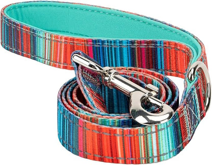 EcoBark Dog Leash - Soft & Reflective Comfort Leash with Padded Handle - Strong Durable Heavy Duty - Training and Pulling for Small, Medium or Large Dogs (Multicolor Stripe)