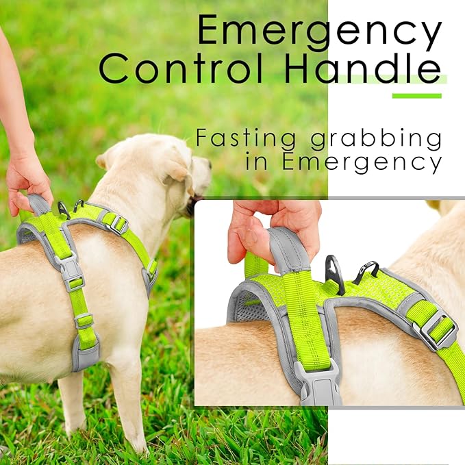 ThinkPet No Pull Harness Breathable Sport Harness with Handle-Dog Harnesses Reflective Adjustable for Medium Large Dogs Large Green