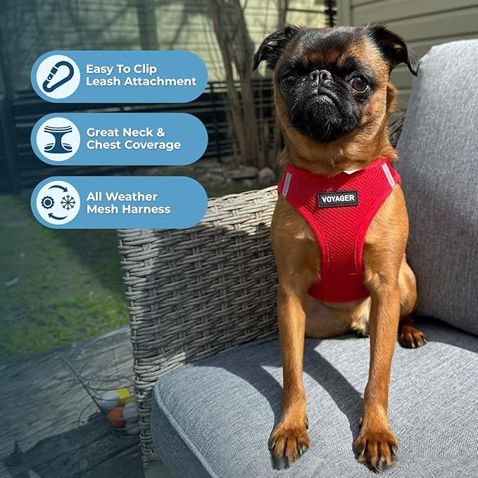 Voyager Step-in Air Dog Harness - All Weather Mesh Step in Vest Harness for Small and Medium Dogs and Cats by Best Pet Supplies - Harness (Red), XS (Chest: 13-14.5")