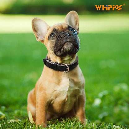 WHIPPY Soft Padded Leather Dog Collar for Small Medium Large Dogs Heavy Duty Dog Collar with Adjustable Rust-Proof Metal Hardware