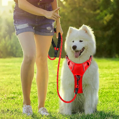 BARKBAY Dog Harness No Pull with ID Tag Pocket - Heavy Duty, Reflective, Easy Control for Large Dogs (Red,S)