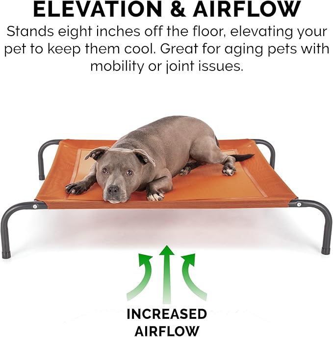 Furhaven Elevated Pet Cots