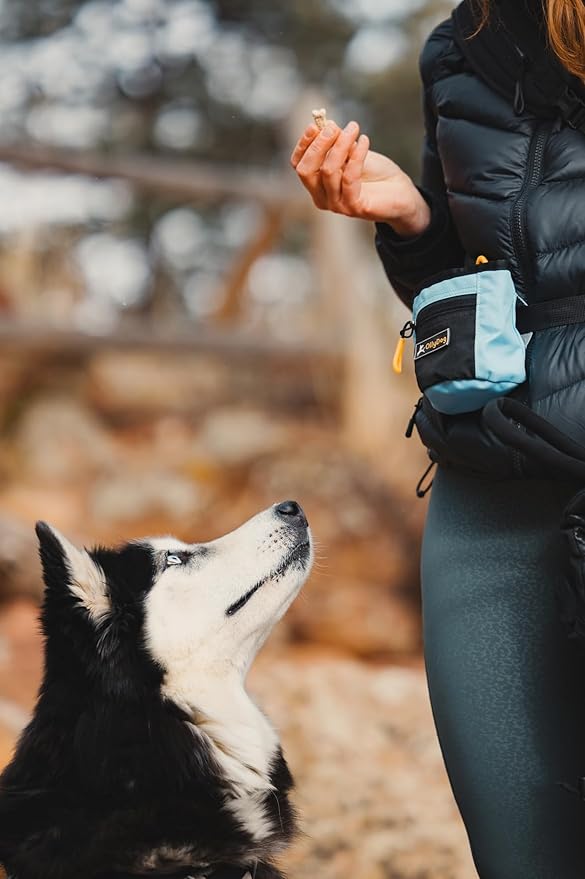 OllyDog Goodie Treat Bag, Dog Treat Pouch, Waist Belt Clip for Hands-Free Training, Magnetic Closure, Dog Training and Behavior Aids, Three Ways to Wear (Maui Blue)