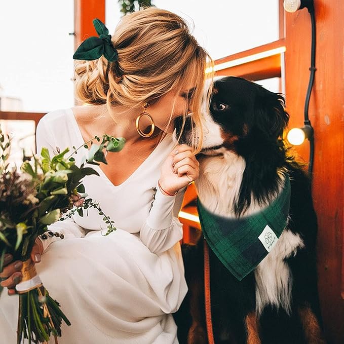 E-Clover Dog Bandanas Boy & Matching Scrunchie Set