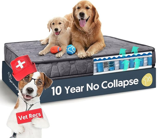 Sping Orthopedic Dog Beds for Large Dogs 10 Years Collapse,4 Inch