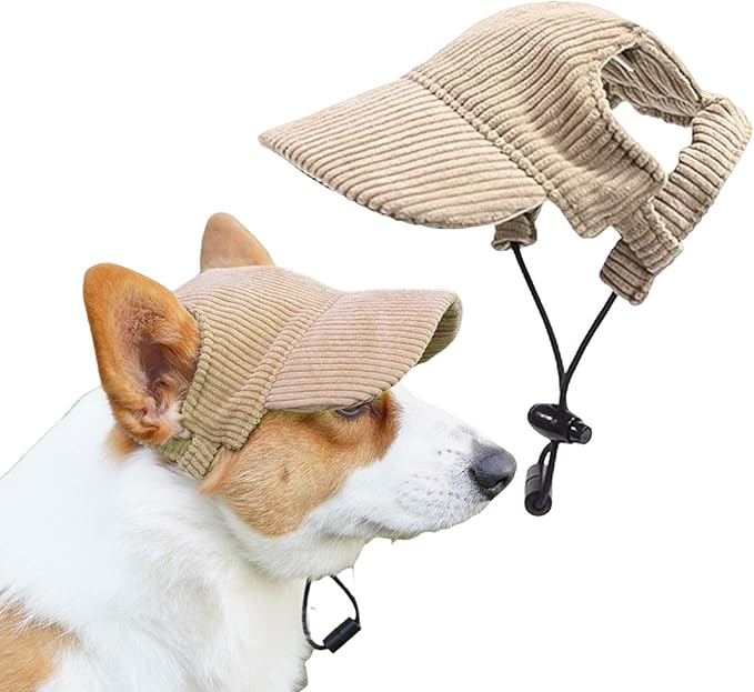 Dog Baseball Cap