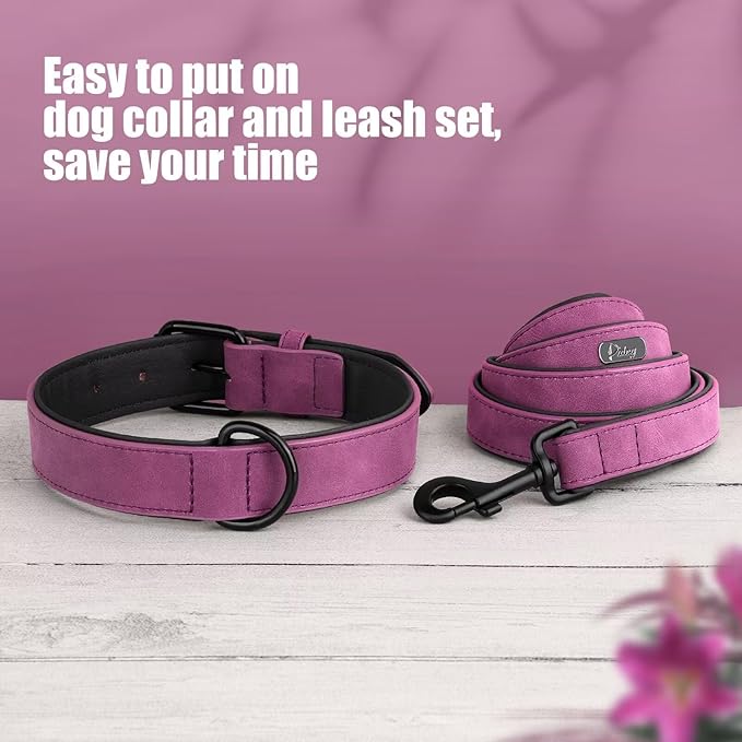 Didog Soft Padded Leather Dog Collar and Leash Set 4FT Leather