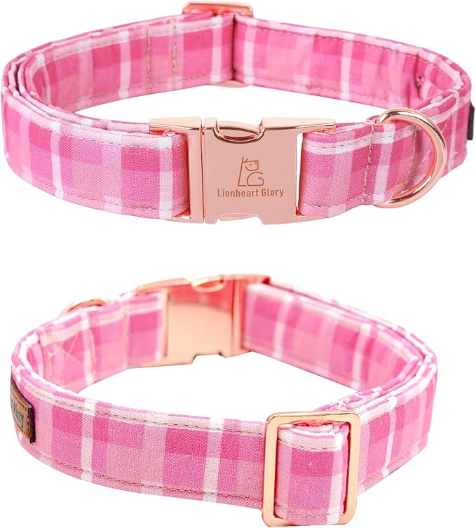 Lionheart glory Valentine's Day Collar