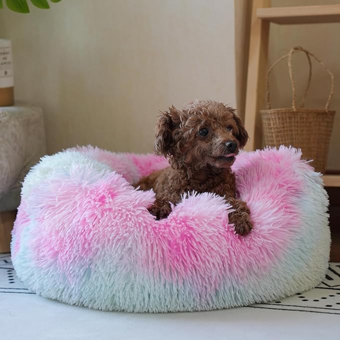 Rainbow Donut Dog Bed Small Washable Dogs,20 inches 10 lbs