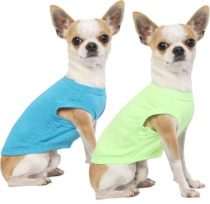 Dog Blank Summer Large Shirts