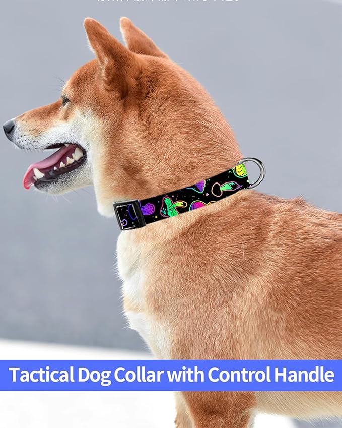 Dog Collar