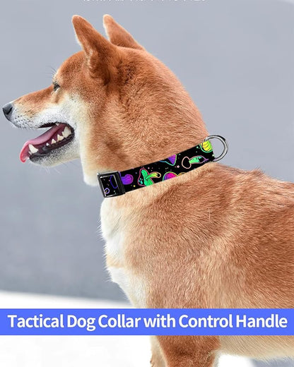 Dog Collar