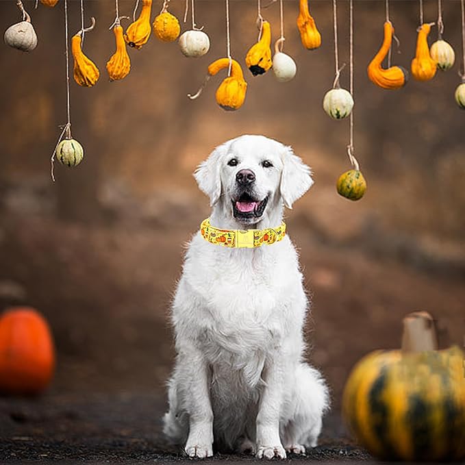 Lionheart glory Premium Fall Dog Collars Thanksgiving Holiday